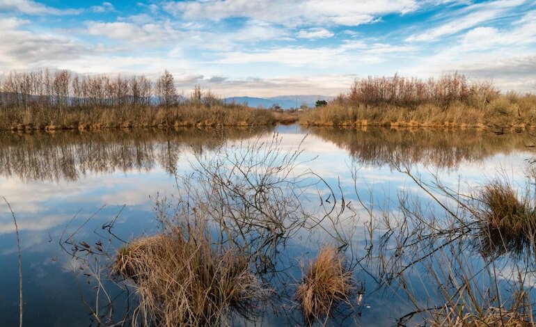 Il paesaggio toscano ci racconta come l’uomo modella l’ambiente