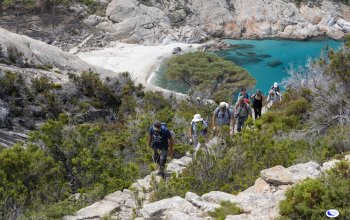 Visite guidate all’Isola protetta di Montecristo