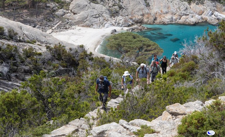 Visite guidate all’Isola protetta di Montecristo