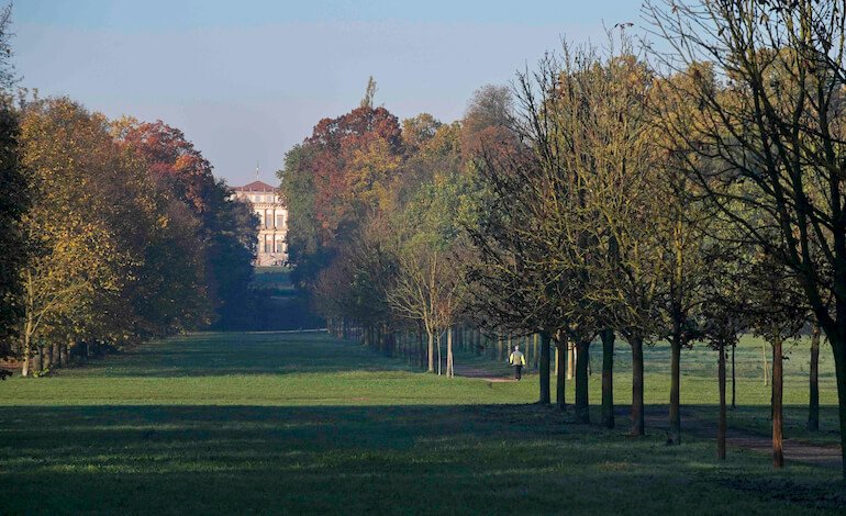 Verde urbano e resilienza climatica