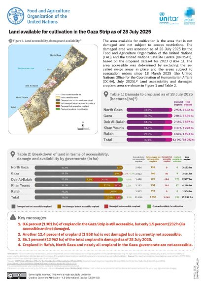devastazione ambientale a Gaza