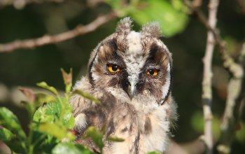 Microplastiche nella notte