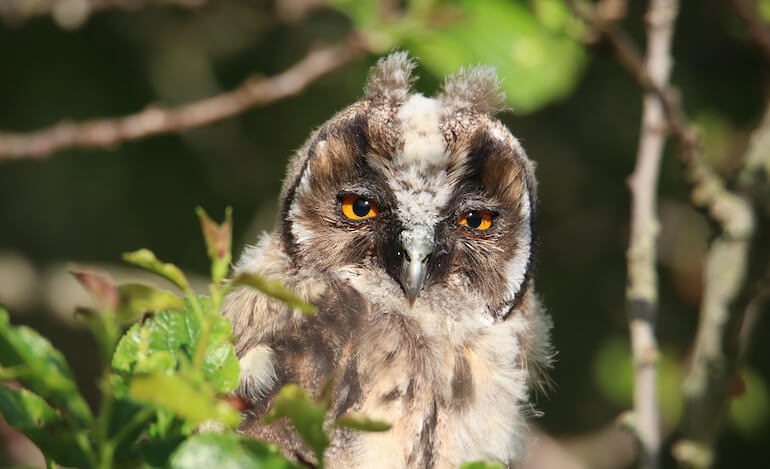 Microplastiche nella notte
