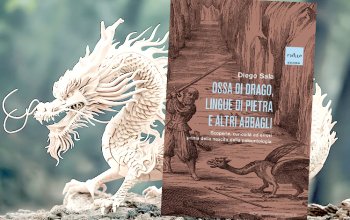 I fossili prima della paleontologia