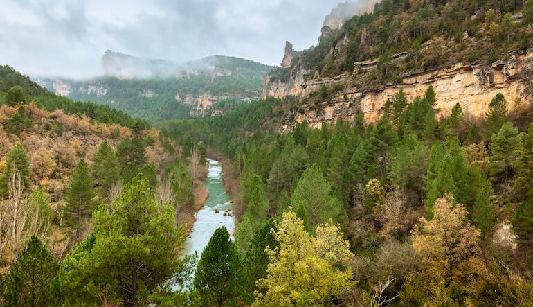 Spagna selvaggia: il progetto di “rewilding” tra Castiglia e Aragona
