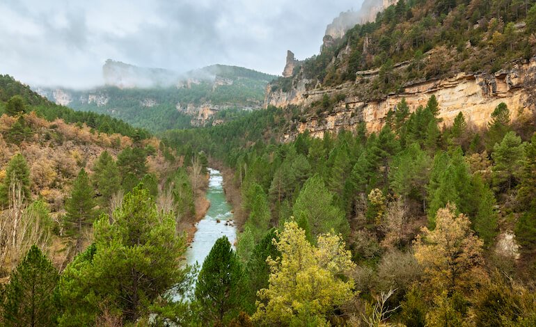 Spagna selvaggia: il progetto di “rewilding” tra Castiglia e Aragona