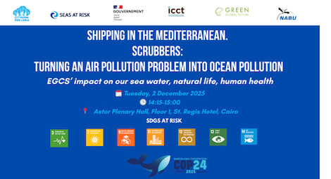 emissioni dalle navi emissioni dalle navi