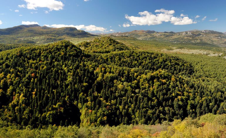 L’Abetina di Rosello diventa il primo Bosco Vetusto nazionale