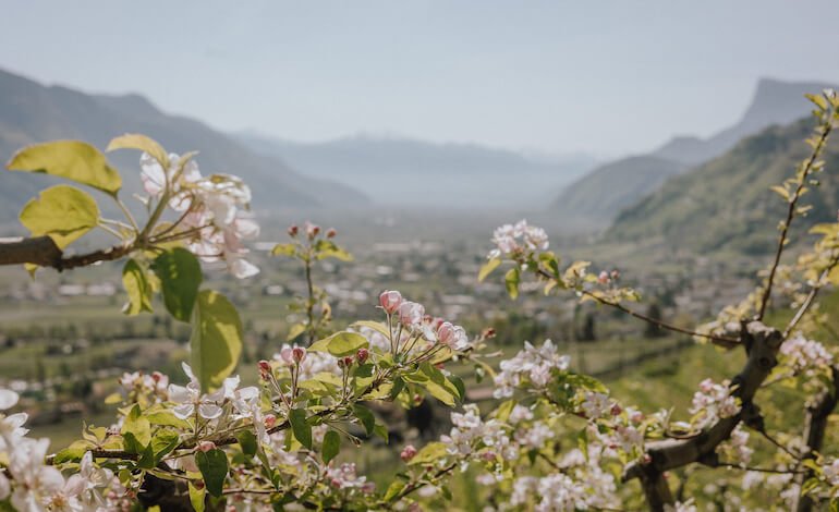 A Lana, in Alto Adige, si punta tutto sulla sostenibilità