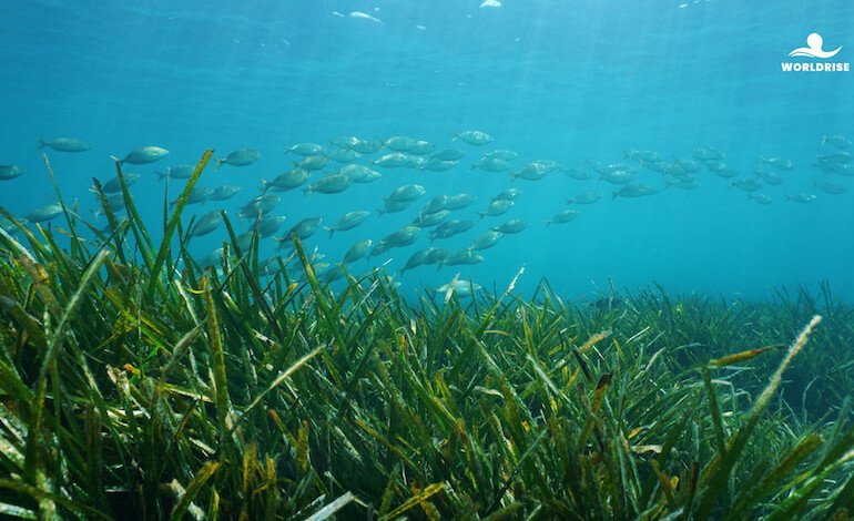 Mediterraneo: un’identità da riscoprire, una responsabilità da condividere