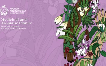 La Giornata mondiale della fauna selvatica