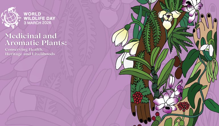 La Giornata mondiale della fauna selvatica