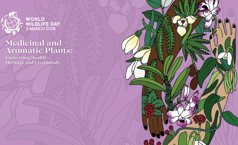 La Giornata mondiale della fauna selvatica