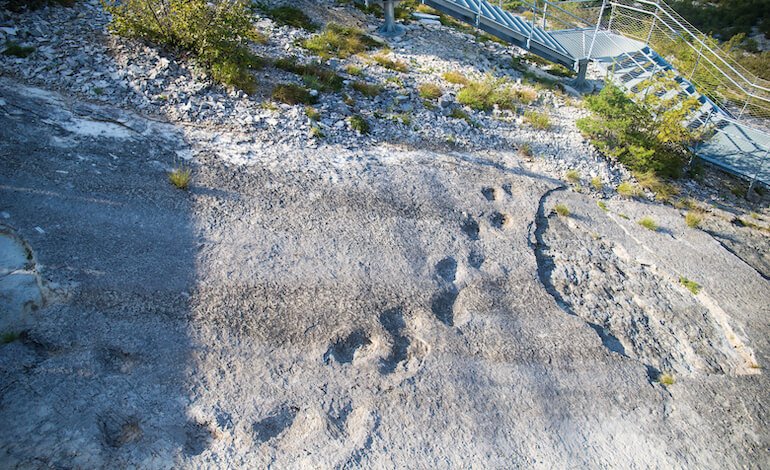 Una storia fatta più di orme che di scheletri