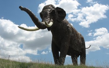 Il “diario segreto” degli elefanti preistorici