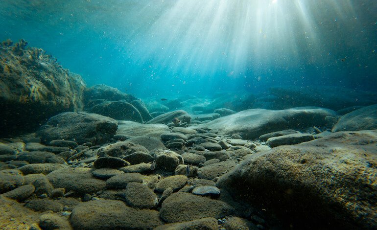 Come cambia la vita sui fondali del Mediterraneo