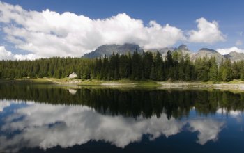 In Lombardia ci sono 616 metri quadrati di bosco per abitante