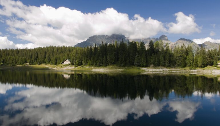 In Lombardia ci sono 616 metri quadrati di bosco per abitante
