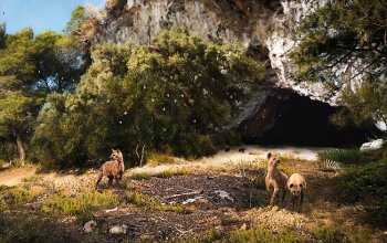 Ecologia e neuroanatomia delle iene pleistoceniche siciliane: il caso di Grotta San Teodoro