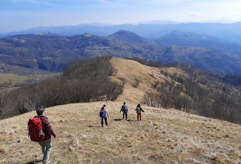 monte Antola