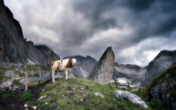 Dolomiti e mare di Wadden a confronto in una spettacolare mostra fotografica