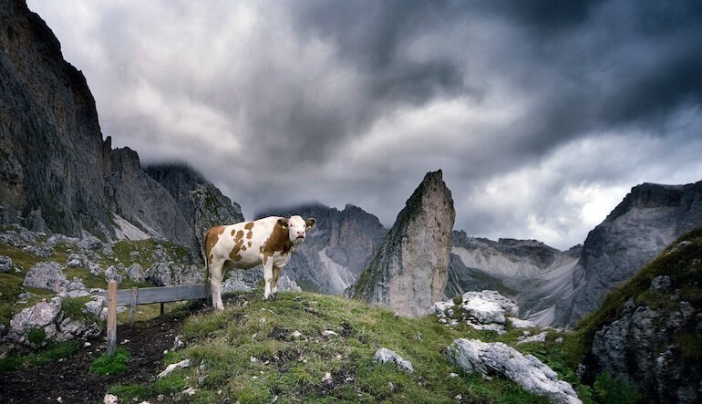 Dolomiti e mare di Wadden a confronto in una spettacolare mostra fotografica