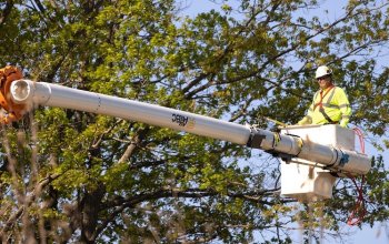 Fermiamo le potature da marzo ad agosto