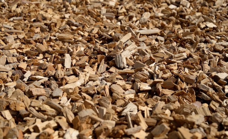 Dagli scarti del legno una rivoluzione per l’elettronica