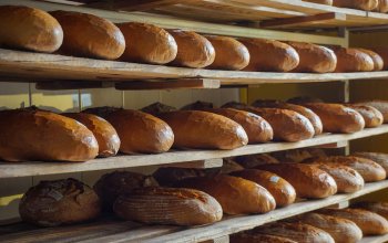 Carburante sostenibile dagli scarti del pane