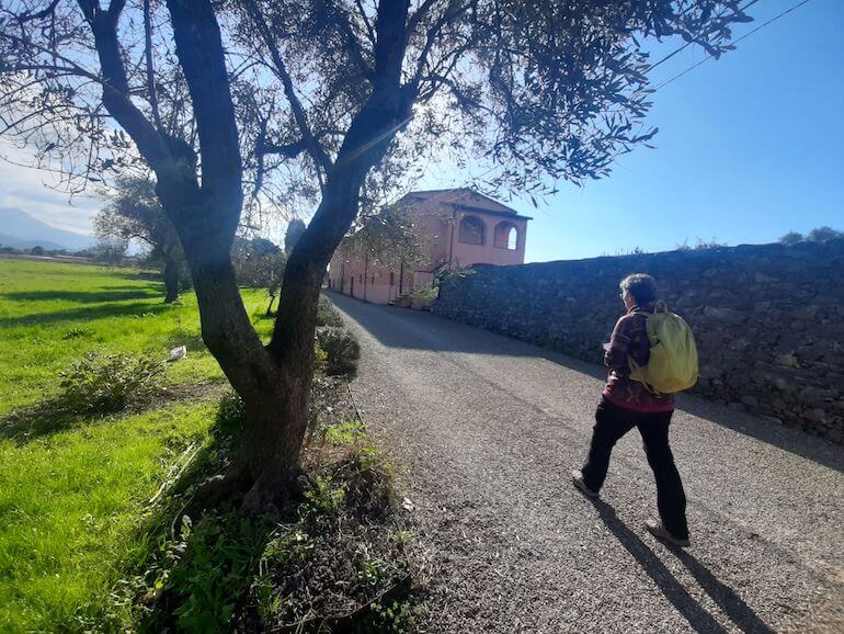 Parco archeologico di Luni