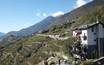 Dai filari terrazzati alla degustazione: il wine hotel che celebra il Nebbiolo eroico della Valtellina