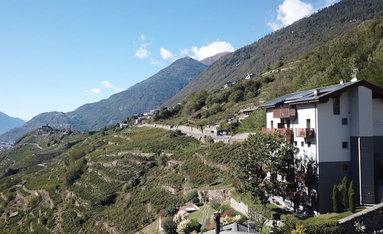 Dai filari terrazzati alla degustazione: il wine hotel che celebra il Nebbiolo eroico della Valtellina