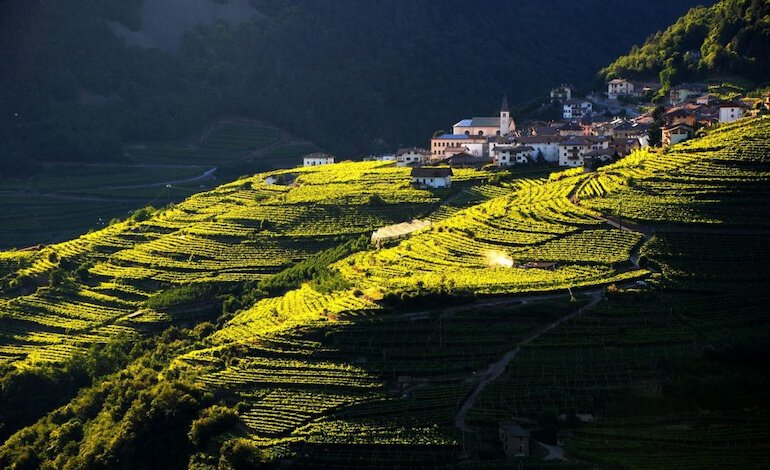 Val di Cembra: economia verticale tra vite, tradizione e identità