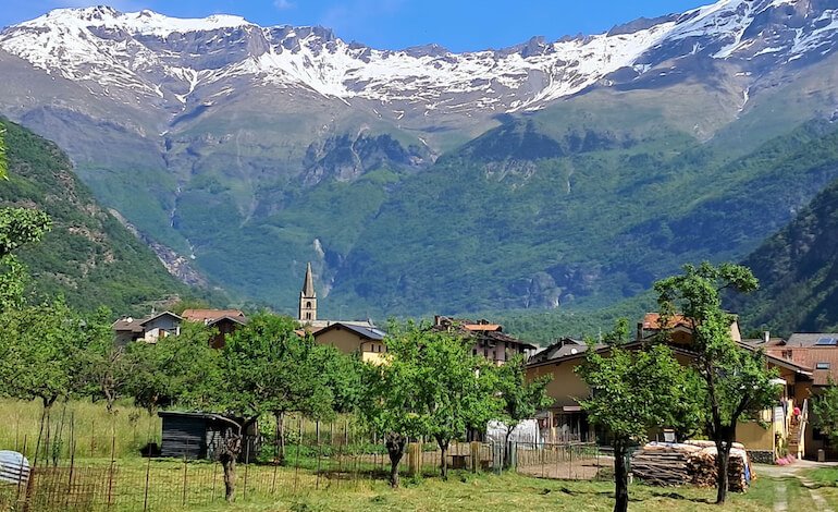 Attraverso il mondo dei gufi