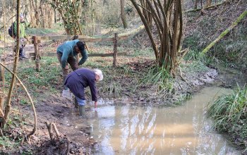 La prima Associazione studentesca per il restauro della natura in Europa