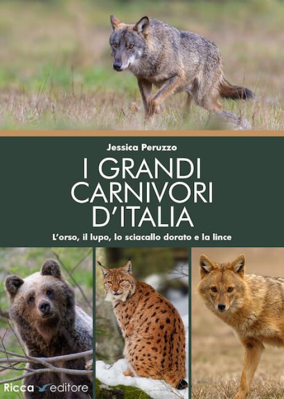 grandi carnivori 