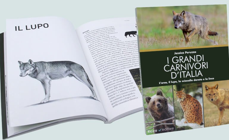 L’importanza di conoscere i grandi carnivori d’Italia