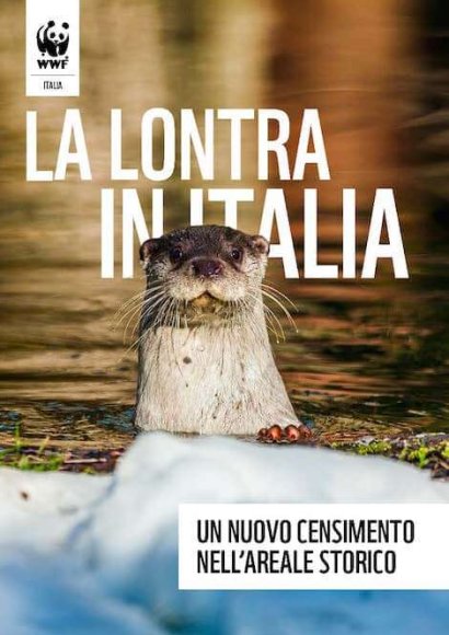 lontra 