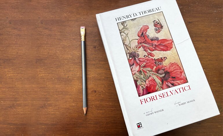 “Fiori selvatici” di Thoreau