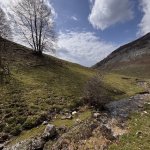Molise