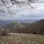 Molise