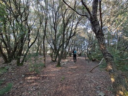 Parco di Shelley