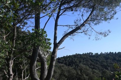 Parco di Shelley