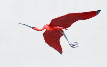 Selvatica – Arte e Natura in Festival