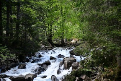 Val Nambrone