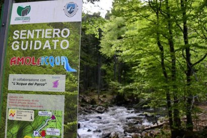 Val Nambrone