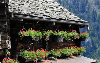 Alpe Salecchio, borgo walser