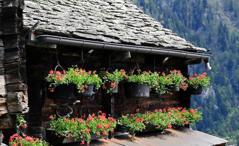 Alpe Salecchio, borgo walser