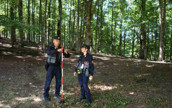 I dati raccolti dai Carabinieri Forestali certificano la perdita di biodiversità vegetale