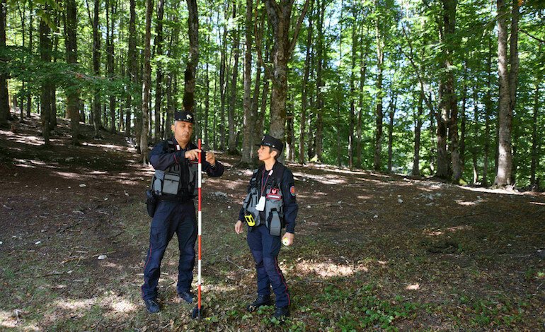 I dati raccolti dai Carabinieri Forestali certificano la perdita di biodiversità vegetale